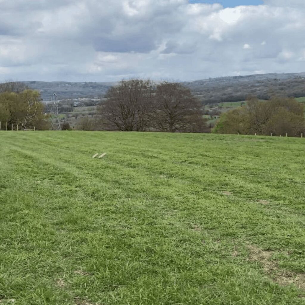 Nelson Meadow Caerphilly