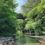 Secret Waterfalls (Sirhowy Valley Country Park) 